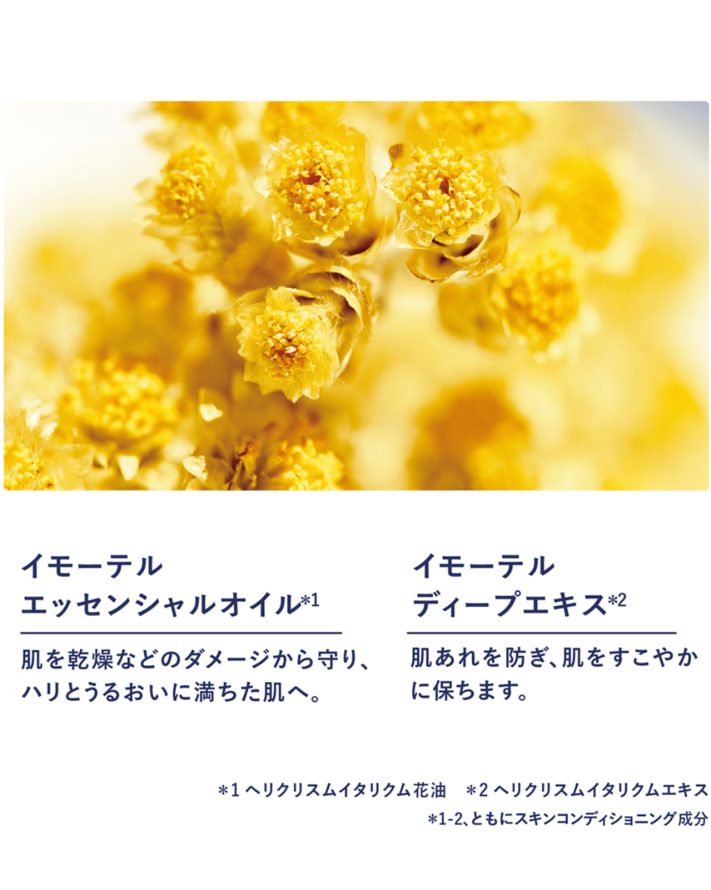 イモーテル オーバーナイトリセットセラム レフィル 50mL｜スキンケア