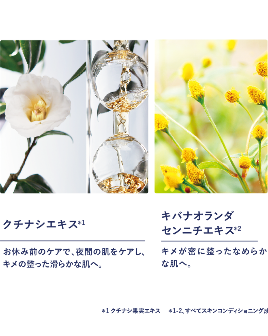 イモーテル オーバーナイトリセットセラム レフィル 50mL｜スキンケア